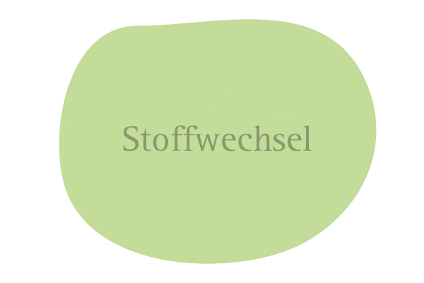 Stoffwechsel